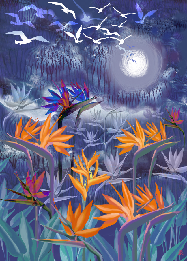 Illustration “Birds of paradise”