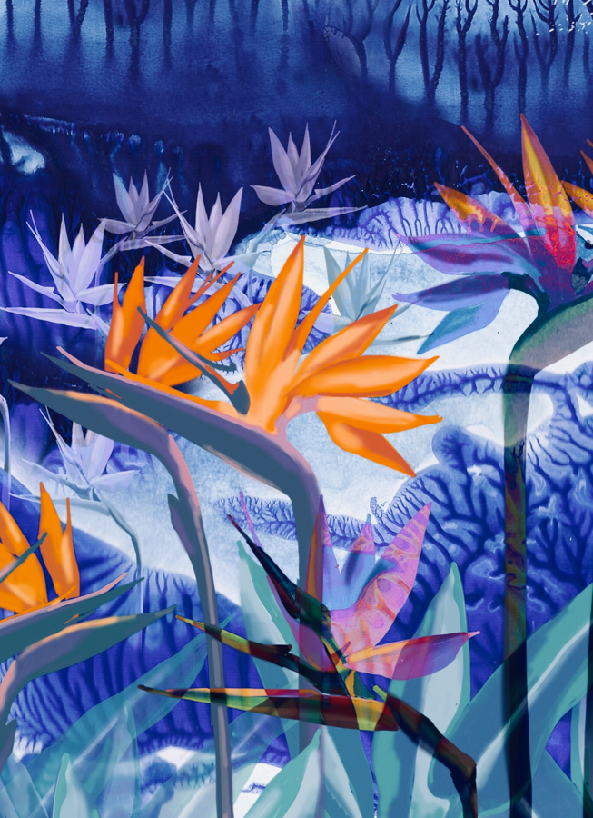 Illustration “Exotic garden”